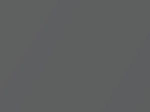 Cool Gray Opal Metallic touch-up paint for Subaru, code 55D, 2011