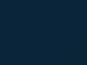 BMW Avusblau Metallic touch up paint 276 1994 All Models