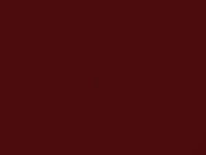 Flame Red touch-up paint for Buick, code 3309, R, WA3309, 1965