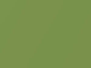 Verde Campo Metallic touch-up paint for Fiat, code 354A, 2012