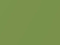 Verde Campo Metallic touch-up paint for Fiat Punto, code 354A, 2012