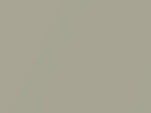 Atacama Sand Metallic touch-up paint for Land Rover LR3, code 916, NAU, 2006