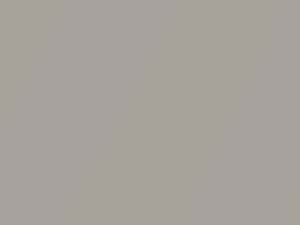 Light Silver Metallic touch-up paint for Isuzu Trooper, code 753, N105P901-0, 1993