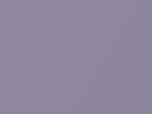 Light Purple Metallic touch-up paint for Toyota, code 937, 1998