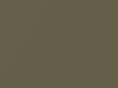 Gold Rush Metallic touch-up paint for Nissan, code EX1, 2002