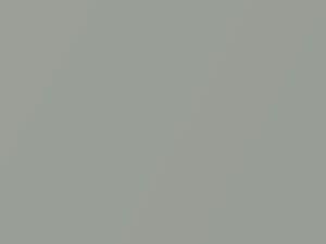 Millenium Silver Metallic touch-up paint for Toyota RAV4, code 1C0, 2001