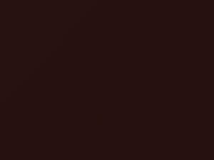 Mahogany Red Pearl touch-up paint for Subaru Tribeca, code 56E, 2007