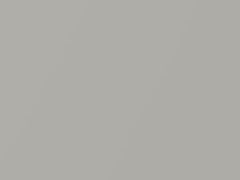 Silver Metallic touch-up paint for Lexus, code UA29, UCA29, 2005