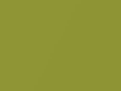 Citrous Yellow Metallic touch-up paint for Acura, code GY22M, 1997