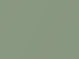 Verde Lichene Metallic touch-up paint for Fiat, code 359A, 2011