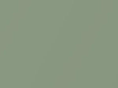 Verde Lichene Metallic touch-up paint for Fiat, code 359A, 2011