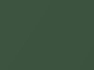 Green Metallic touch-up paint for Daihatsu, code G24, 1997