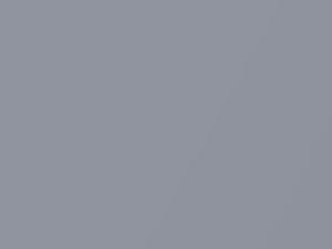 Regent Silver Metalic touch-up paint for Acura, code NH612M, 1994