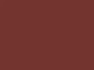 Copper Canyon Mica touch-up paint for Toyota Tacoma, code 3M1, 1998