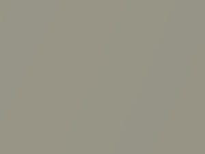 Parchment Silver Metallic touch-up paint for Saab 44809, code 293, 2006