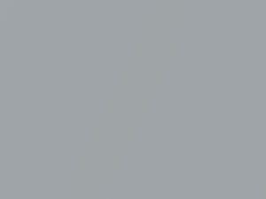 BMW 6 Series Arktissilber Metallic touch up paint 309 2004 6-SERIES