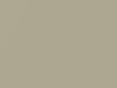 Beige Metallic touch-up paint for Nissan, code EV5, 2002