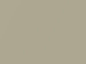 Beige Metallic touch-up paint for Nissan, code EV5, 2002