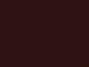 Audi Andora Red Pearl touch up paint 2H 2018 All Models