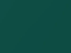 Bright IVy Pearl touch-up paint for Toyota, code 6P5, 2000
