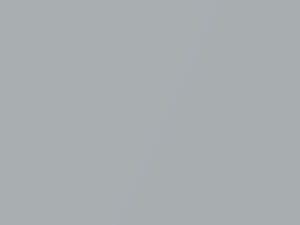 Bluish Silver Metallic touch-up paint for Daihatsu, code S23, 2003
