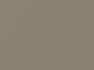 Light Gold Metallic touch-up paint for Nissan, code EY0, 2006