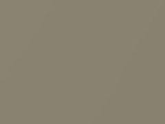 Light Gold Metallic touch-up paint for Nissan, code EY0, 2006