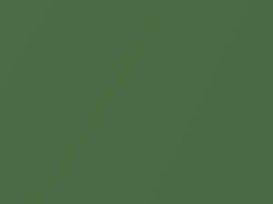 Brilliant Green Metallic touch-up paint for Chevrolet Wave, code 226L, 48U, WA226L, 2007