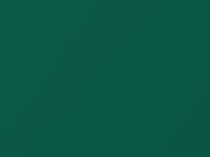 Jade Green Metallic touch-up paint for Hyundai Accent, code GG, 2002