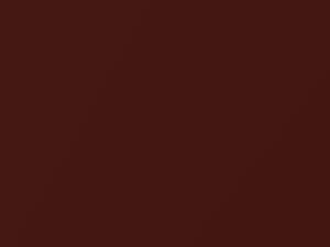 Russet Brown Metallic touch-up paint for Daewoo, code 66U, 1998