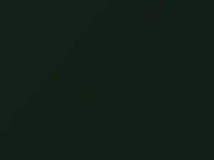 British Green Metallic touch-up paint for Suzuki Sierra, code Z1D, 1999