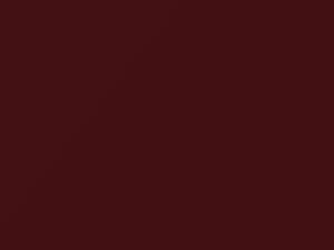 Winter Red Pearl touch-up paint for Volkswagen New Beetle, code L4, 2004