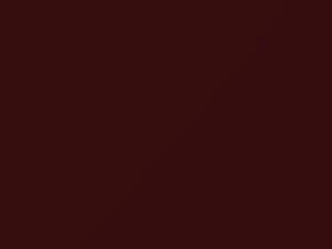 Autumn Brown Metallic touch-up paint for Daewoo Leganza, code 69U, 1997