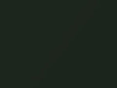 Verde Amazon Metallic touch-up paint for Fiat, code 553, 553A, 2015