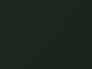 Verde Amazon Metallic touch-up paint for Fiat, code 553, 553A, 2015