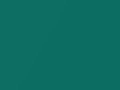 Mercedes-Benz Laguna Green Metallic touch up paint 810 2004 All Models