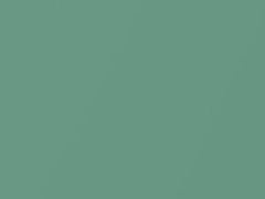 Volkswagen Talismanngruen Metallic touch up paint 6N 2017 All Models