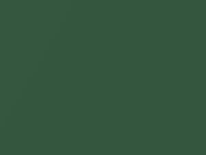 Forest Green Mica touch-up paint for Isuzu Trooper, code 863, G802, G802P902-0, 1999