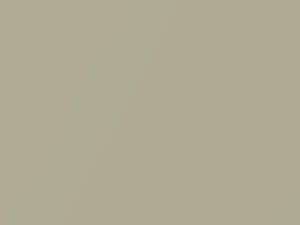 Golden White touch-up paint for Fiat, code 506, KCY, 2020
