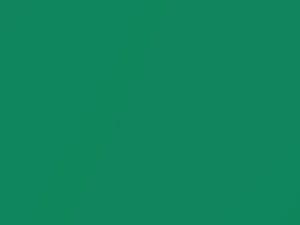 Tropic Green Pearl touch-up paint for Hyundai Elantra, code TP, 2004