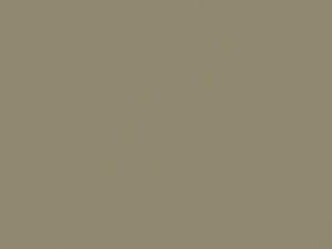 Brighton Gold Metallic touch-up paint for Chevrolet Leganza, code 231L, 60U, WA231L, 2000