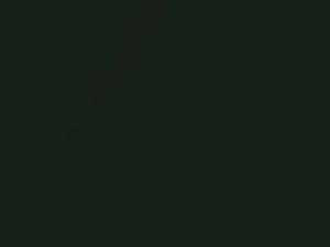 Woodland Green Metallic touch-up paint for Ford F350, code FV, M6873A, 1999