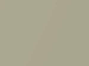 Planet Gold Metallic touch-up paint for Suzuki Grand Vitara, code Z2Z, 1998