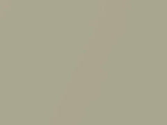 Planet Gold Metallic touch-up paint for Suzuki Grand Vitara, code Z2Z, 1998
