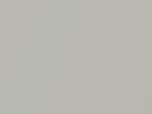 Silver Metallic touch-up paint for Toyota, code 1C9, 2004