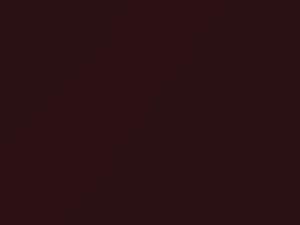 BMW 7 Series Barberarot Metallic touch up paint A39 2006 7-SERIES