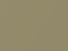 Gold Metallic touch-up paint for Toyota, code A505, 2002