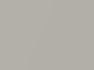 Light Gray Metallic touch-up paint for Toyota, code UCAF0, 2003
