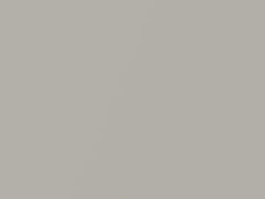 Light Gray Metallic touch-up paint for Toyota, code UCAF0, 2001