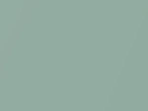 Space Green Metallic touch-up paint for Nissan, code 388, D95, Z44, 2005